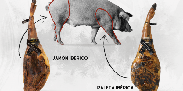 ¿CÓMO DIFERENCIAR UN JAMÓN IBÉRICO DE UNA PALETA IBÉRICA?